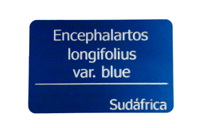 Blue anodized plaque. Big size.