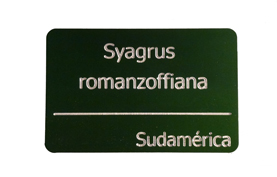 Green anodized plaque. Big size.