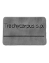 Aluminum plaque to identify plants.