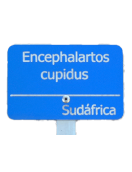 Placa de aluminio...