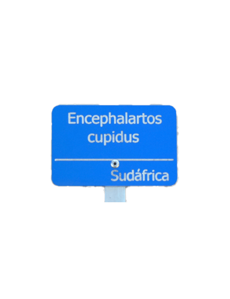 Placa de aluminio personalizada para plantas. Solo placa.