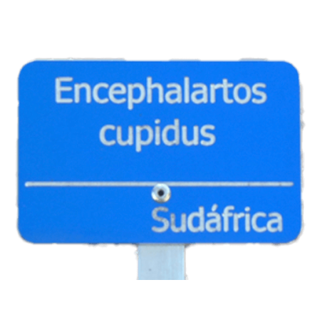Placa de aluminio personalizada para plantas. Solo placa.